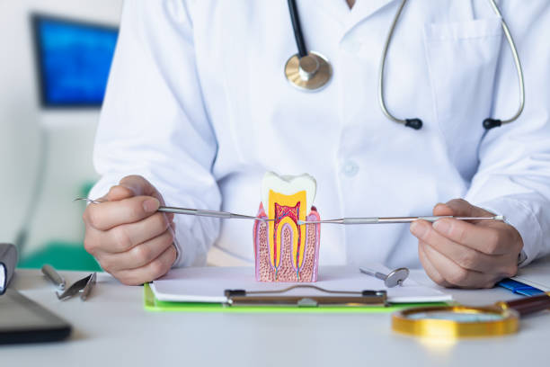 Best Cosmetic Emergency Dentistry in New Fairview, TX